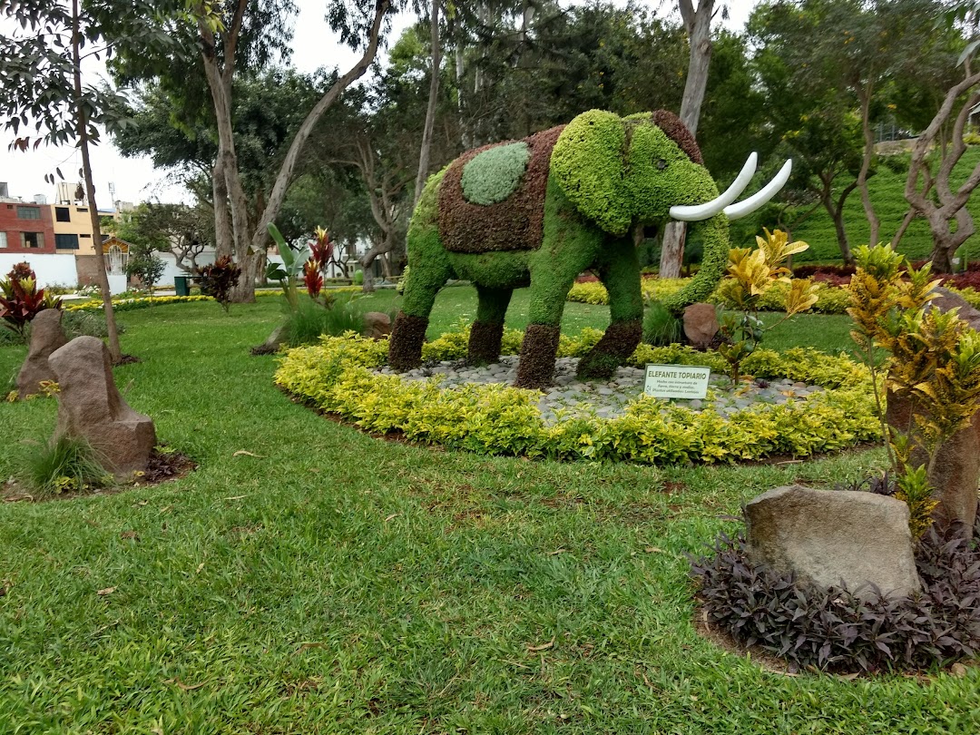 Historia Del Parque Ecol Gico Loma Amarilla En Surco Parques Del Per