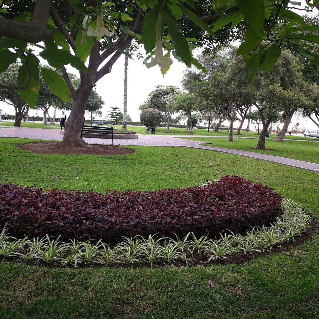 Parque de la Pera de San Isidro